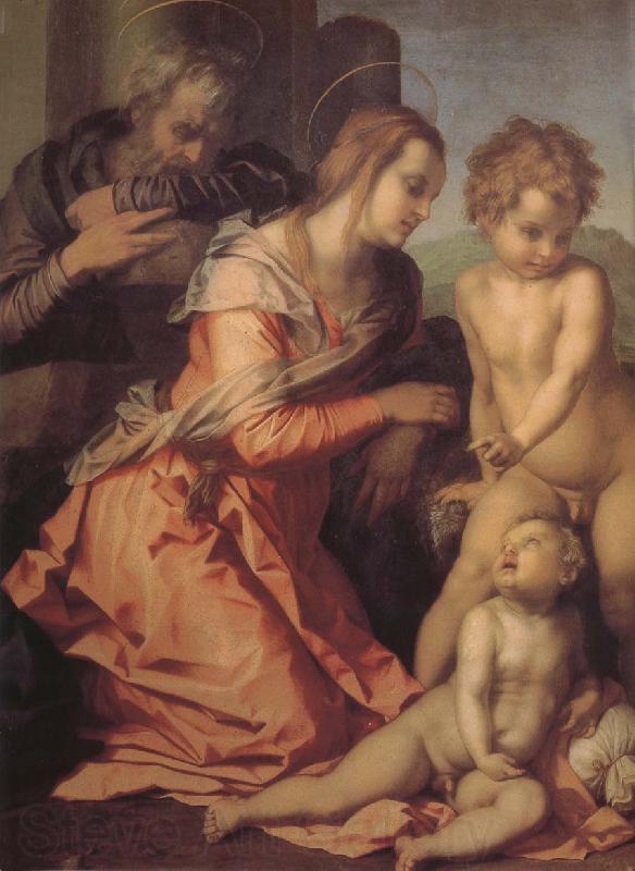 Andrea del Sarto Holy family Spain oil painting art